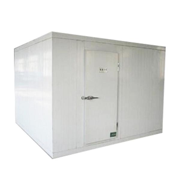 Grande sala fria industrial para tipo fresco da temperatura da carne o único