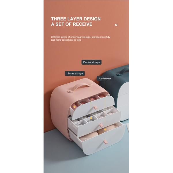 Convenient Storage Solution Dust-Proof Plastic Storage Box for Underwear and Socks