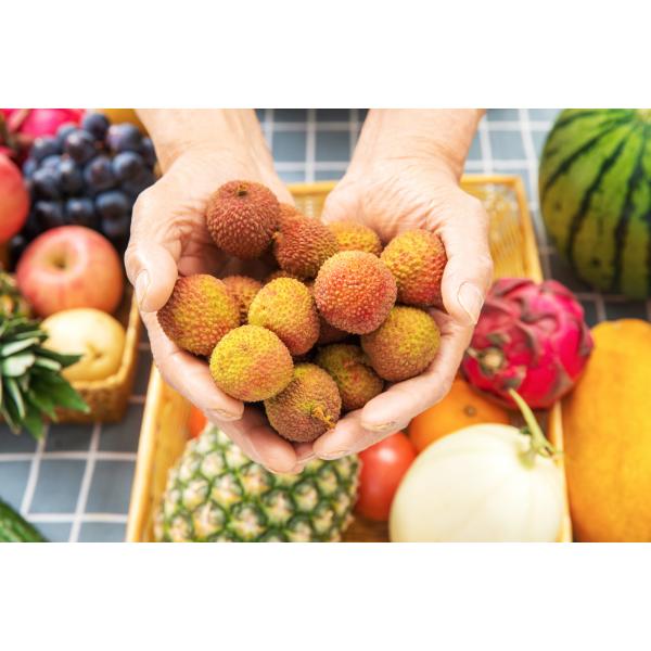 Plant Source Hydrolysis Amino Acid 80 Powder Water Soluble Organic