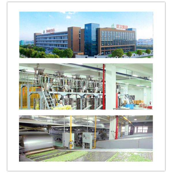 Различные витамины зажарили в духовке тариф обрыва вкуса 5% Срирача закуски нутов органический