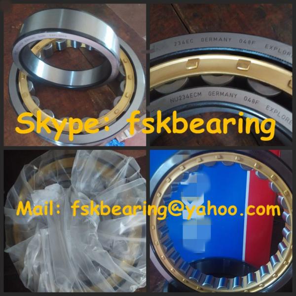 Brass Cage NU234 ECM FAG Bearing Heavy Duty Bearing ABEC-3 / ABEC-5