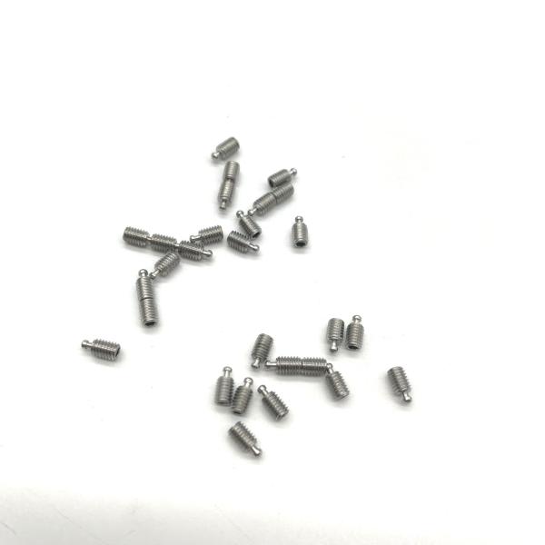 304 Stainless Steel Screws M2 ANSI Standard Electrolytic Polishing