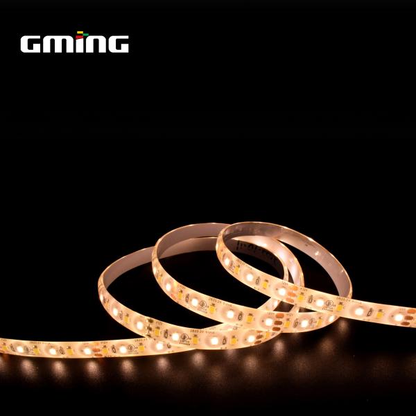 6W Smd 2835 Led Strip 12v 24v Low Voltage Lamp