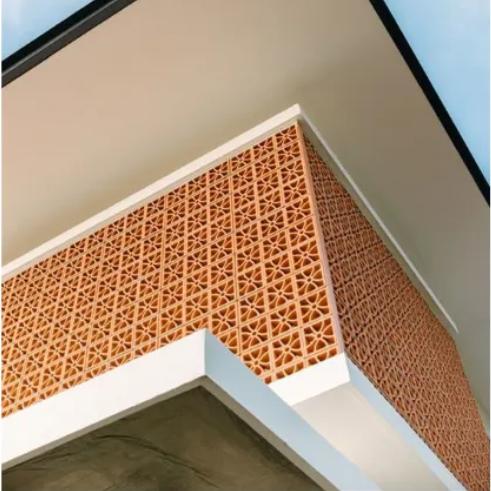 Panneaux muraux décoratifs en briques creuses de céramique rouge pour balcons