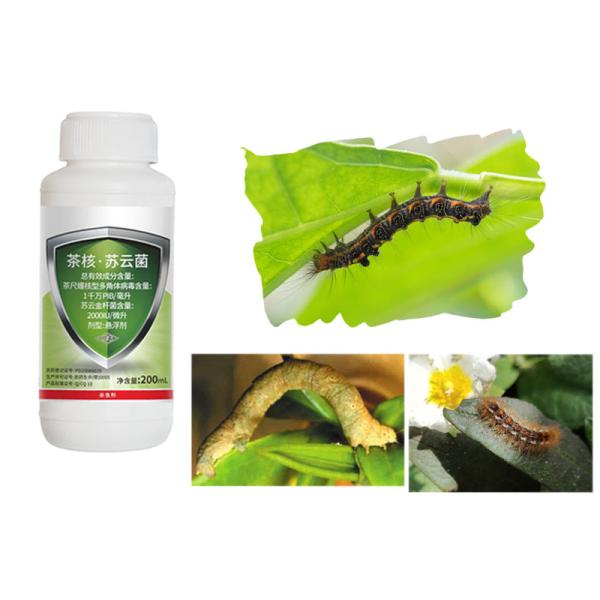 EoNPV + Bacillus Thuringiensis Natural Vegetable Insect Spray Insecticide