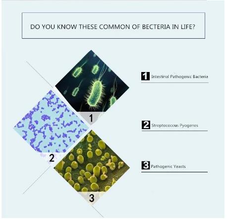 Adults Portable Hand Sanitizer , Alcohol Gel Moisturizing Antibacterial Hand Sanitizer