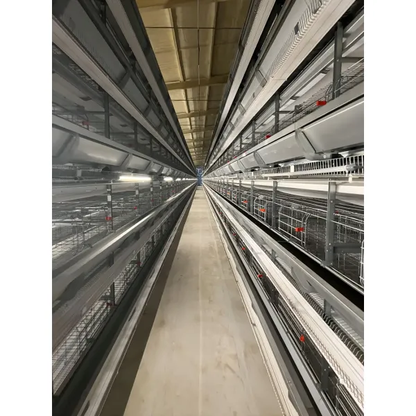 Automatic H Type Battery Layer Chicken Cage System with Fully Automatic Operation, Hot-Dip Galvanized Steel, and H-Type Layered Design for Poultry Farming
