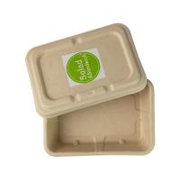 Recipientes moldados da preparação da refeição do lance do bagaço da cana-de-açúcar afastado, caixas biodegradáveis da salada