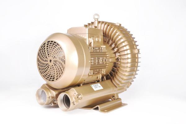 1.3 KW High Electric Vacuum Pump For Vacuum Lifting System