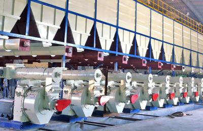 PLC Control Large Wood Log Pellet Making Production Line for Thailand