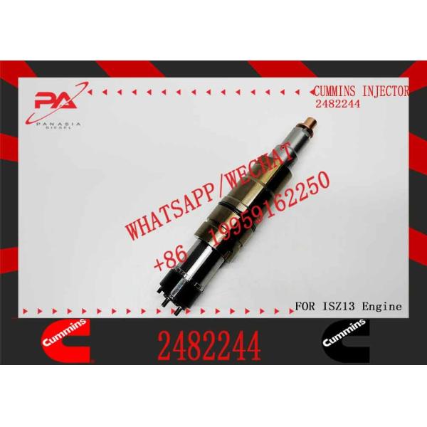Инжектор топлива 2482244