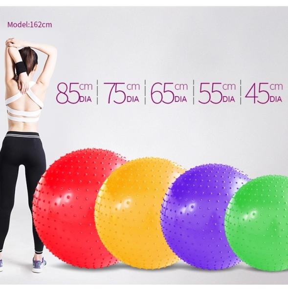 Burst Resistant Pilates Ball 55cm For Overall Body Muscle Development