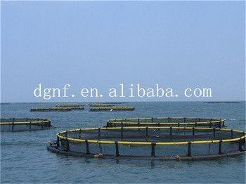 90m Nfw Floating Fish Aquaculture Net Cage For Sea Aquaculature