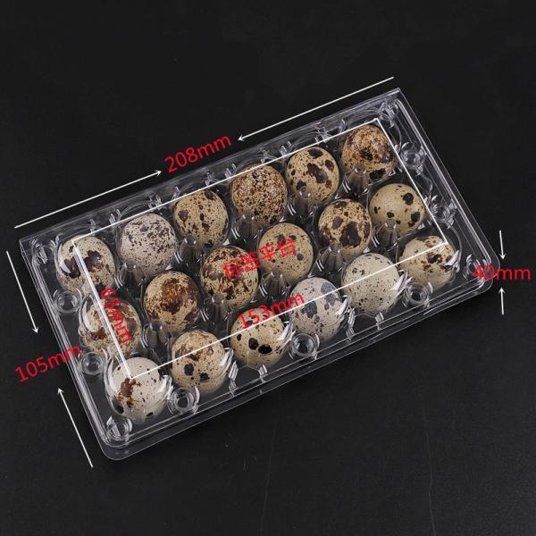 18 Hole Blister Clamshell Hinged Egg Plastic Packaging Disposable Quail Egg Cartons