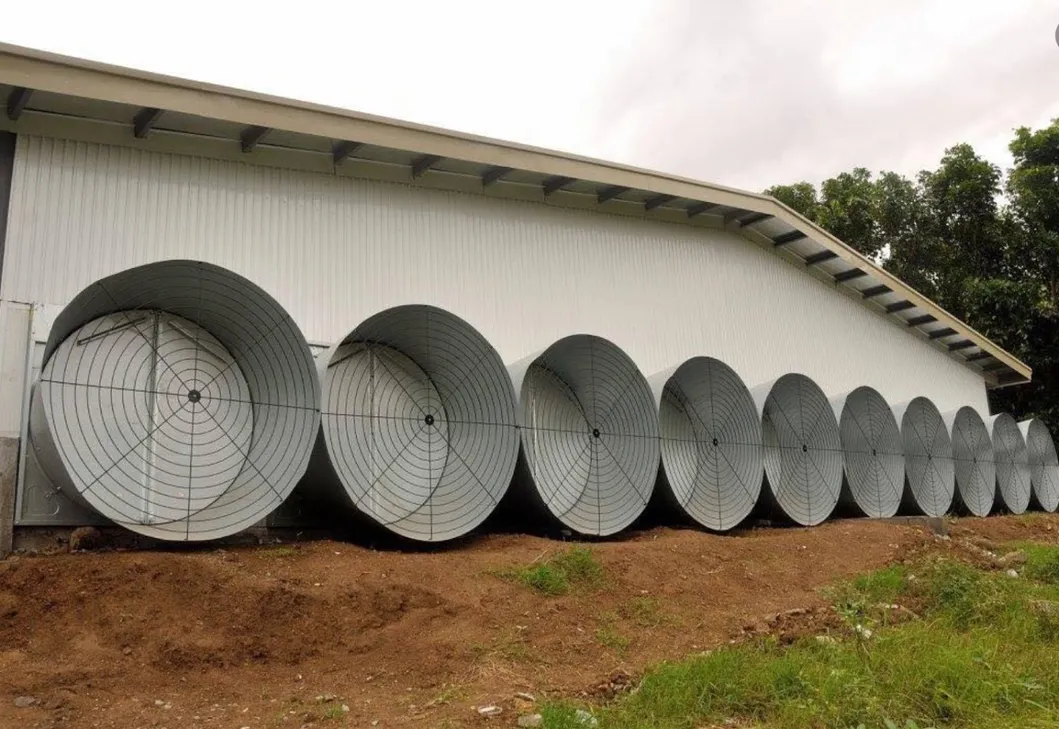 Poultry House Galvanized Exhaust Fan Strong Wind Ventilation Fan High Airflow