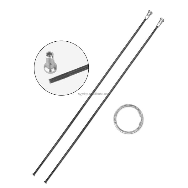 36T Ratchet 700c 50mm Wheelset Anneaux blancs à traction droite 700c Disque de frein