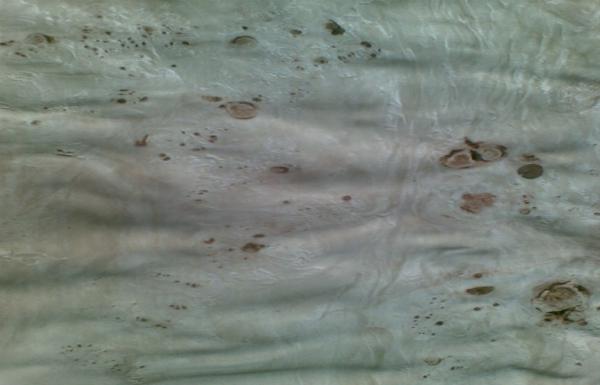 Natural Burl Furniture Wood Veneer Poplar With AA / A / AB Grade