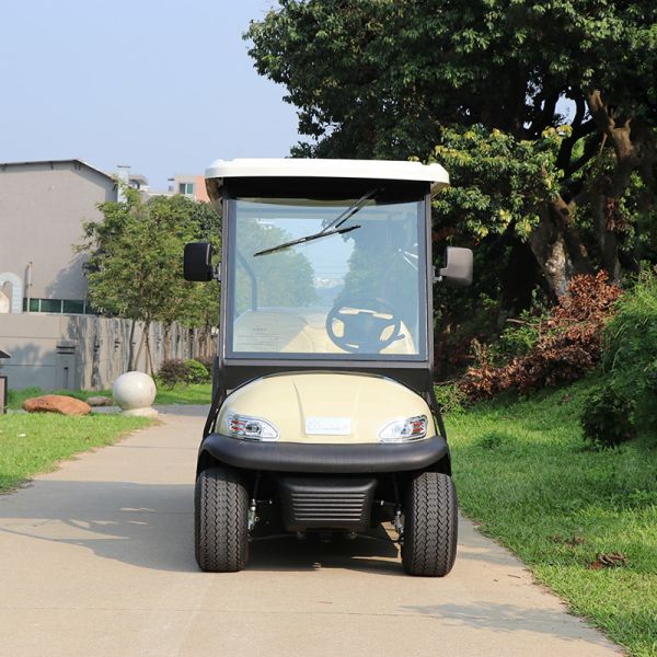 6 Seaters New Design Electric Golf Car Hunting Car with Lithium Battery