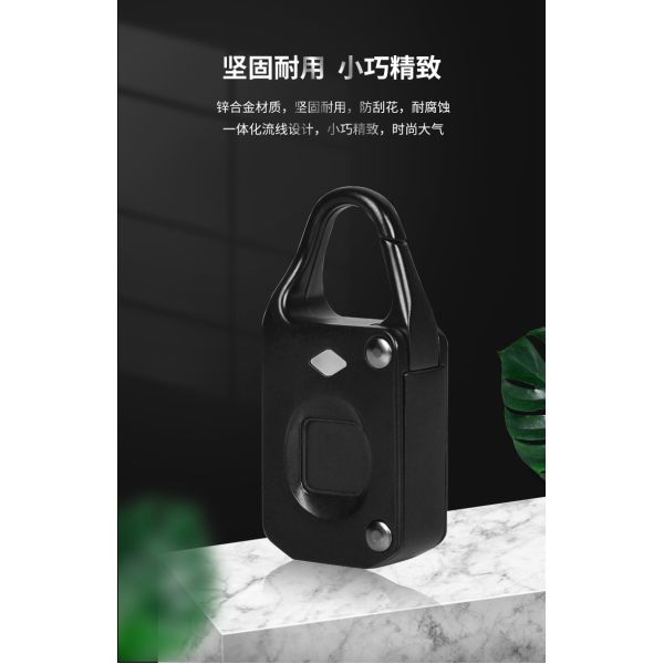 Hot Selling RARLUX DBX80 Zinc Alloy Durable Fingerprint Padlock Hardened Shackle Travel Luggage Security Gym/School Lockers