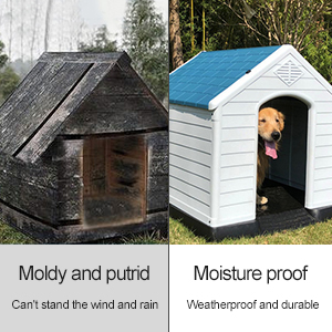 Large Plastic Dog House Outdoor Indoor Doghouse Puppy Shelter Water Resistant Easy Assembly Sturdy Dog Kennel