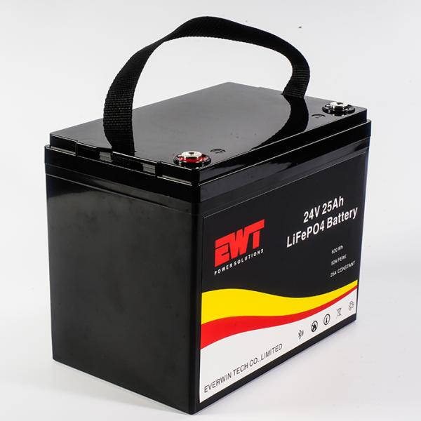 24В Lifeo4 перезаряжаемая батарея