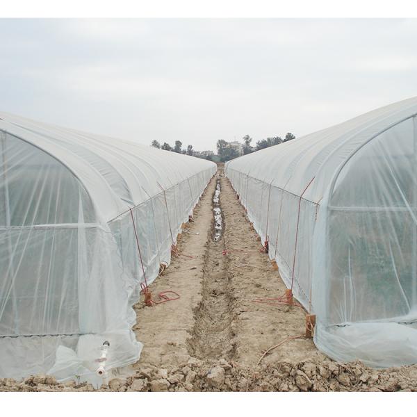 1m Zinc Coating 275gsm Wrought Iron Greenhouse For Duck Or Chicken