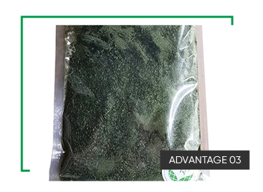 Wholesale High Fiber Aonori Seaweed Ulva Lactuca Powder with 24 Month Shelf Life and Seasoned Taste