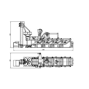 Sunflower Seed Processing