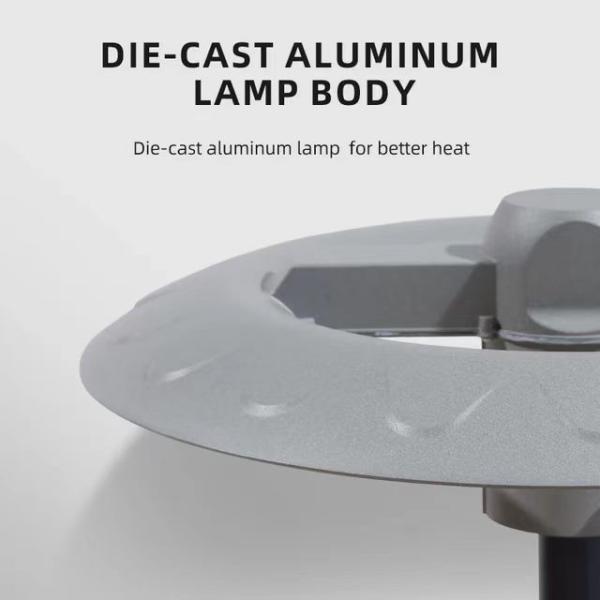 50W/100W/150W LED Garden Street Lighting High Brightness Die-casting Column Top Lamp
