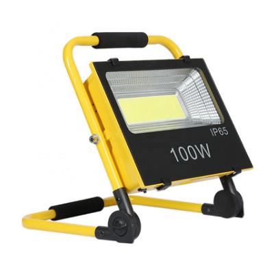 Module 120 Degree 2200mAh Solar LED Flood Light