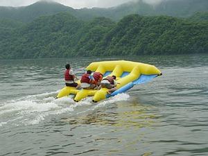 Commercial Grade Rental Towable Inflatables Water Game Flying Fish For Seashore