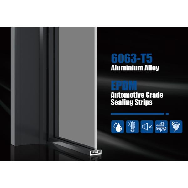 Minimalist Structure Decorative Modern Aluminium Pivot Doors Interior Swing Open Mode