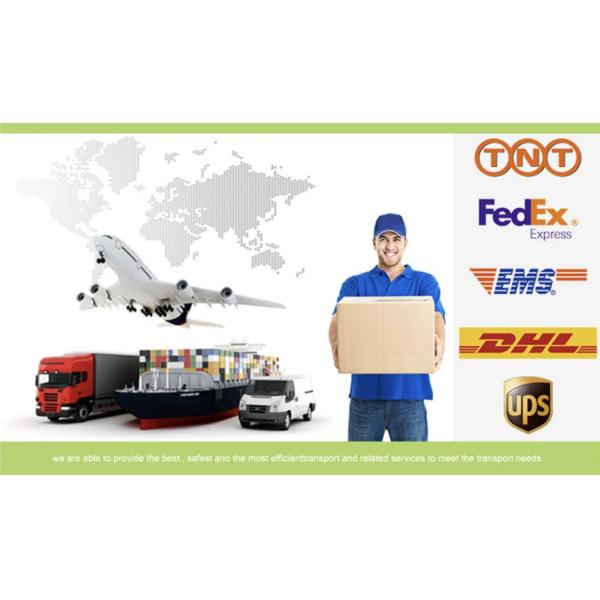 Fashionable Luxury Leather Watch Ladies Quartz Watch Waterproof