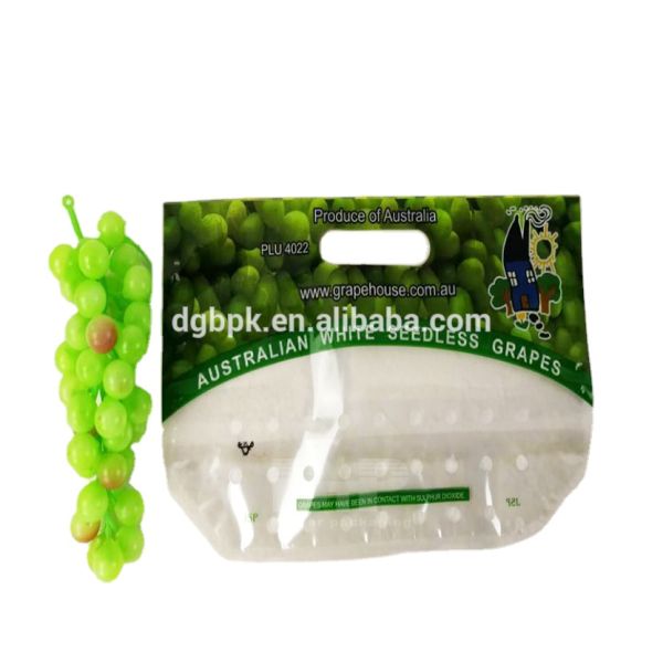 Custom Grape Packaging Protection Plastic Bag Newest Design Bags for Grape Fresh