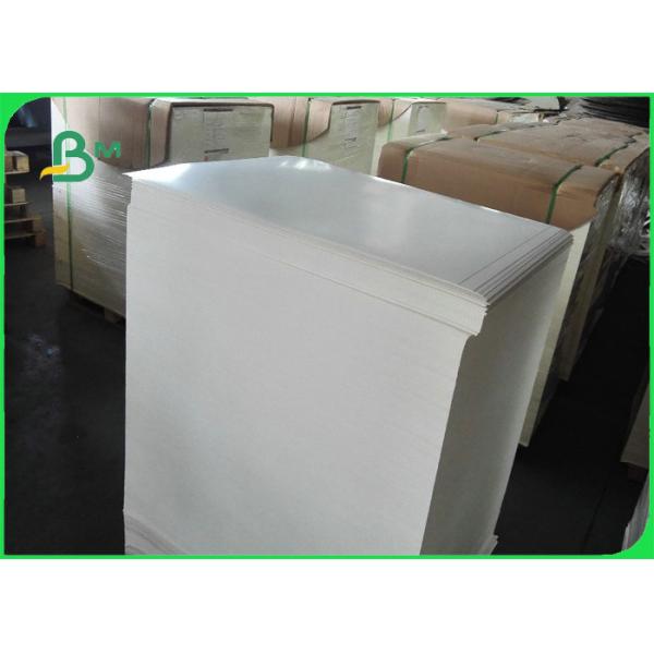 Biodegradable картон 100% пищевого контейнера 300gsm + 15gPE безвредное Биодеградабле картон 100% пищевого контейнера 300гсм + 15гПЭ безвредное