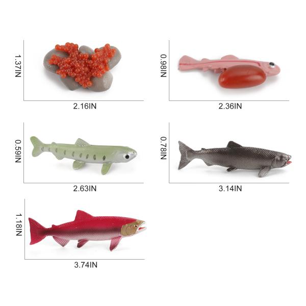 5 PCS Sea Marine Animal Figures Ocean Creatures Action Figure Models Life Cycle Salmon Fish Figurine for Boys Girls Kids