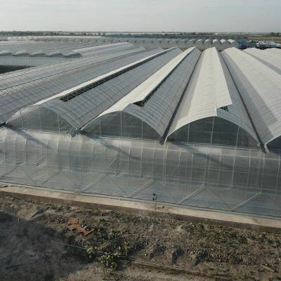 Estufa de película de plástico de camada dupla com sistema de resfriamento sistema de aquecimento sistema de sombreamento sistema de tomate cultivar
