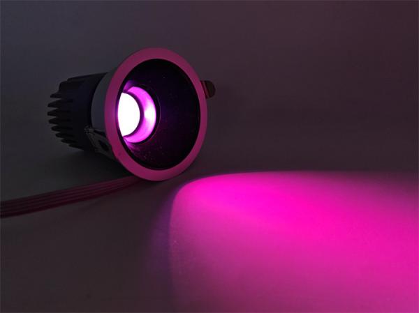 LED Christmas Spotlights High Brightness RGBW 24V Holiday Home Atmosphere Light