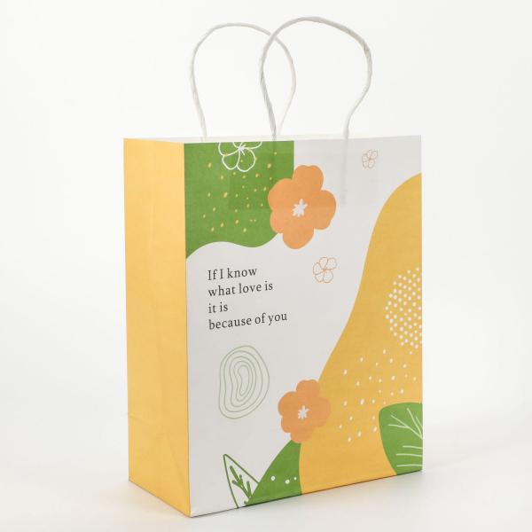 Logotipo personalizado Zhejiang Cmyk Color Pedido personalizado Compras de comestibles Bolsas de papel Kraft