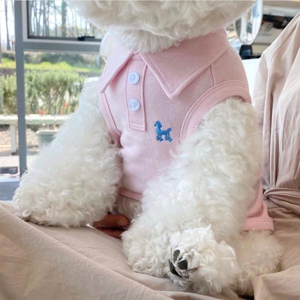 Tamaños personalizados Ropa para mascotas rápida y seca Ropa para gatos respirada Ropa para gatos antialérgica