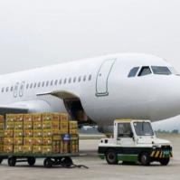 50 kilogrammes d'expédition internationale de DHL FEDEX UPS de Chine vers les Etats-Unis Canada