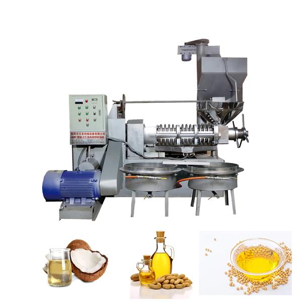 Cold Pressed Mustard Oil Making Machine Screw Type Oil Press Machinery