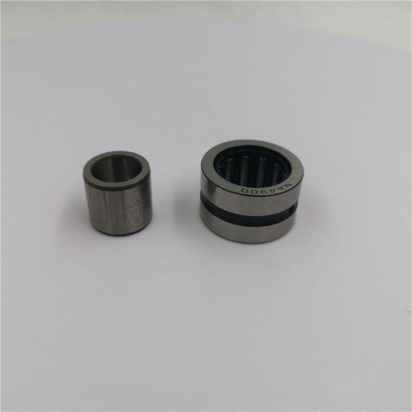 Entity Ferrule Needle Roller Bearing NA4919A IKO Japan 110x130x35mm