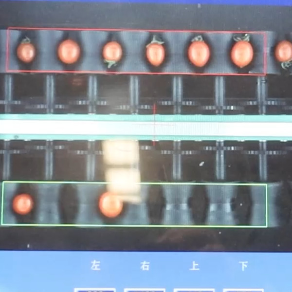 990,9% точность, сортировщик фруктов вишни и томатов 380 В / 50 Гц