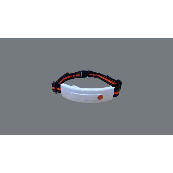Smart GPS Pet Collar with Electronic Fence and Health Monitoring