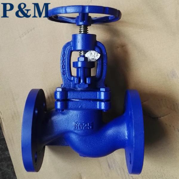 DN50 PN16 GG25 flanged globe valve handwheel operation