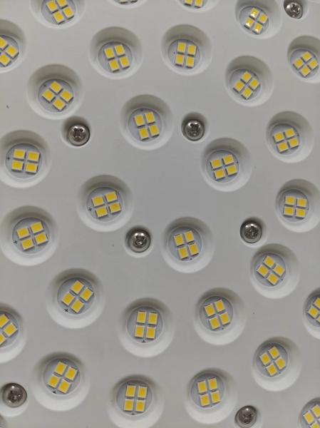 WF2 50000hrs Explosion Proof LED Bay Light Oil Gas Protection IP66