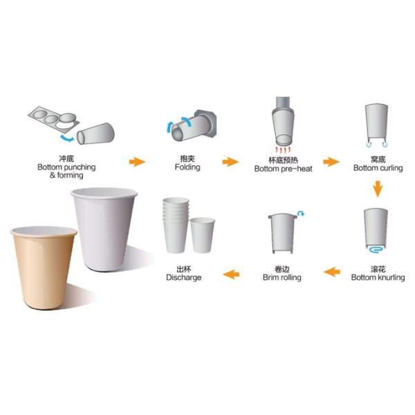 Fully Automatic Paper Cup Machine Hot Drink Cup Paper Cup Making Machine