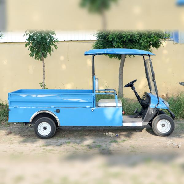2023 Hot Sale EV Golf Cart Low Speed Electric Aetric Cart 100AH 60V Golf Cart Bus com traseira