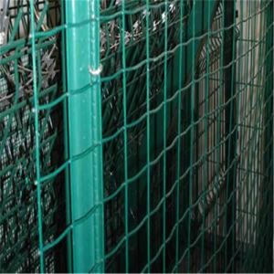 ISO9001 Certified Galvanized PVC Coated 50x50mm Garden Wire Fencing - PVC Euro Wire Mesh Fence